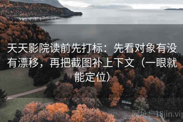 天天影院读前先打标：先看对象有没有漂移，再把截图补上下文（一眼就能定位）