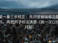 爱一番三步校正：先问证据链够完整吗，再把例子标注清楚（做一次口径对拍）